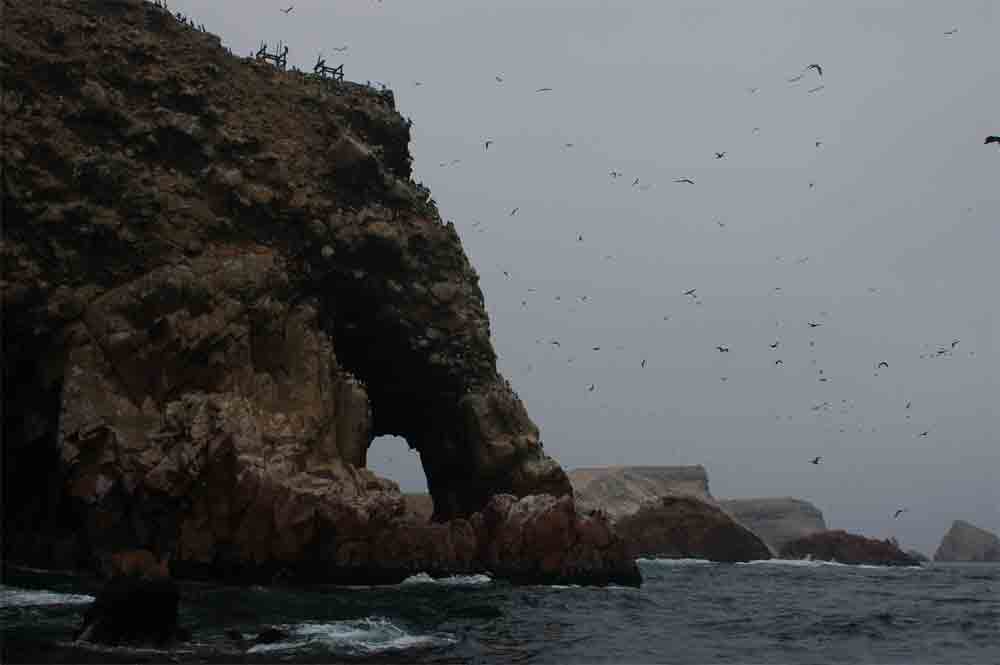 62 - Peru - reserva natural de Paracas, islas Ballestas